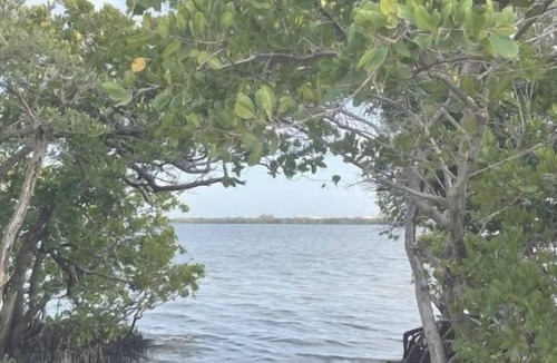 St. Petersburg - Clearwater Condo | 2/2 Beach Lovers Hide Away - Tampa / St Pete