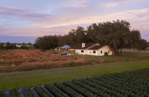 Plant City House | 278 m² House ∙ 6 bedrooms ∙ 20 guests