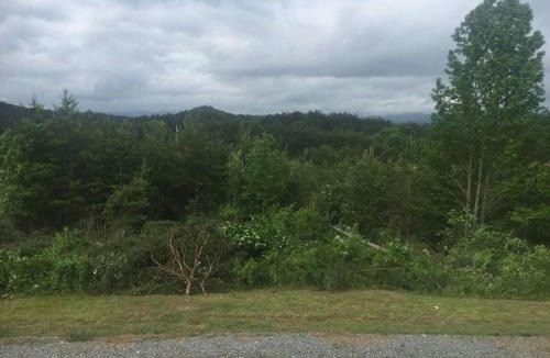 Copperhill House | 2BR/1BA Cabin | Hot Tub | Ocoee River Area | Wifi