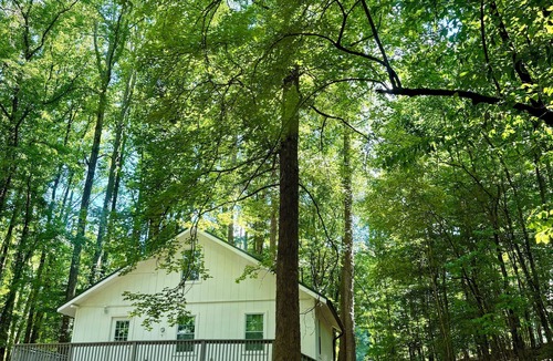 Buford Cabin | 3 bedroom Cabin on Lake Lanier Buford with WiFi, AC