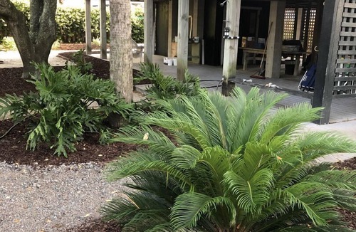 Isle of Palms House | 3 BR, 2 BA Charming Elevated House - 1 Block to Beach! Large Screened Porch!