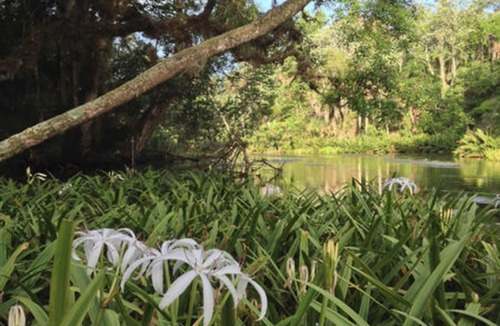 Chassahowitzka House | 3 Br 2 Ba Home On The Water in Chaz-Access to River-Springs-Gulf of Mexico