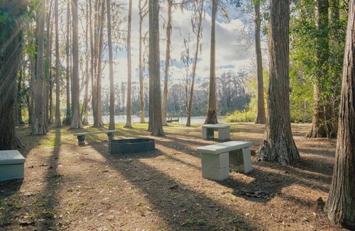 Greater Northdale House | 3bdr/2bth Lake Home (Tampa/LUTZ) close to all