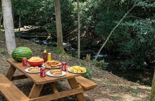 Suches Cabin | 3BR Cabin in Appalachian Mountains! -dog friendly, firepit, creek in yard