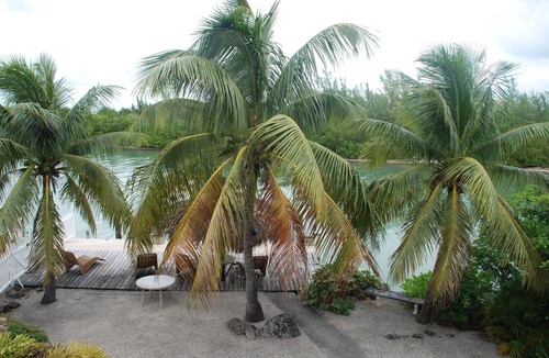 Key Colony Beach House | 4 Bedrooms,large private pool,Great fishing!