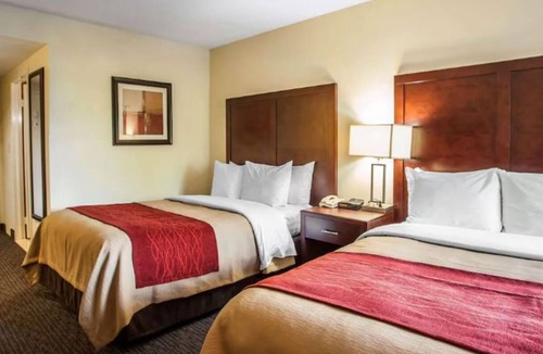 Trevose Hotel | 4 Bright and Comfortable Hotel Stay Near Neshaminy Mall w/Seasonal Pool