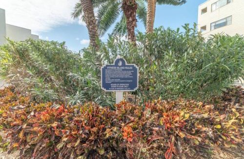 Rocky Point Apartment | 421-Fully renovated, WIFI, Pool, Amazing Views, Near BUCS Stadium