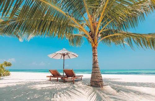 Key Biscayne Apartment | 46 m² Apartment ∙ 1 bedroom ∙ 2 guests