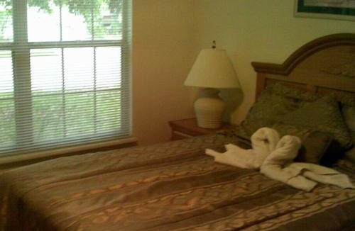Clear Creek Villa | 4br/3ba Disney Area Luxury Resort with pool/spa