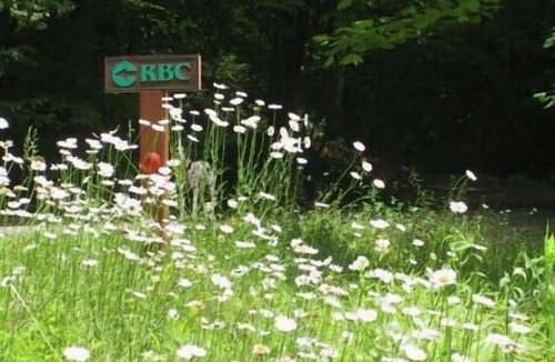Bostic Cabin | 5 star Creekside Romantic Getaway for two & 58 acres & Fresh Warm Bread & Pond