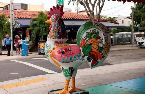 East Little Havana Apartment | 59 m² Apartment ∙ 1 bedroom ∙ 4 guests