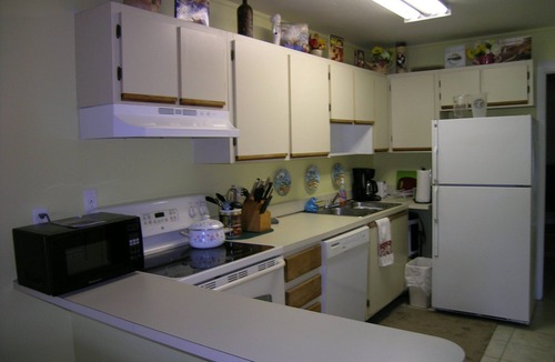 Pelican Condo | 6 months renal discount. Sunshine, Quiet, Pristine, Romantic 1/1 Condo