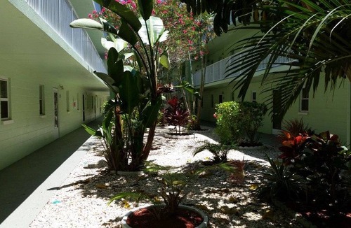 Dunedin Condo | 65 m² Condo ∙ 1 bedroom ∙ 3 guests