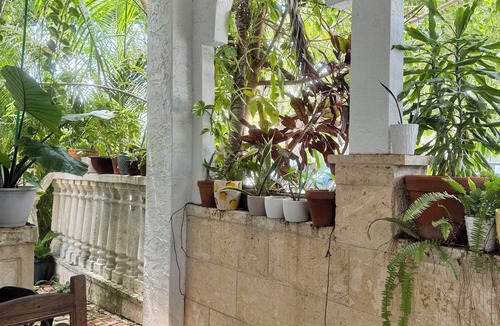 Southwest Coconut Grove House | 7 bedroom Beautiful, Clean - Coconut Grove