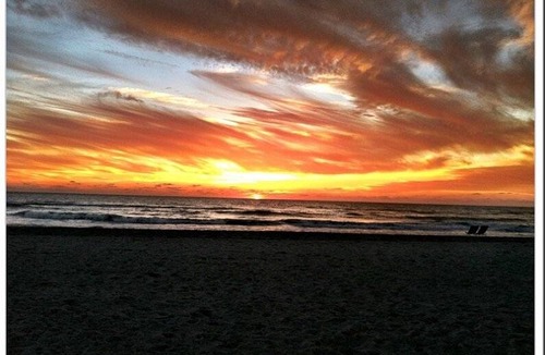 Longboat Key Condo | 70 m² Condo ∙ 1 bedroom ∙ 4 guests
