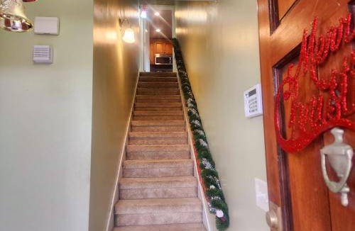 Dolphin's Cove Apartment | 74 m² Apartment ∙ 2 bedrooms ∙ 3 guests