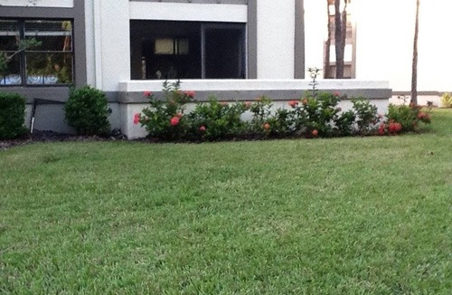 Oldsmar Condo | 86 m² Condo ∙ 2 bedrooms ∙ 4 guests