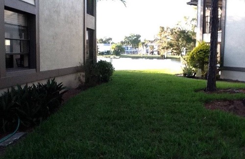 Oldsmar Condo | 86 m² Condo ∙ 2 bedrooms ∙ 4 guests