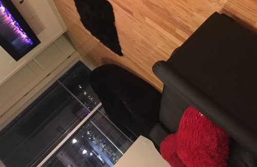 Midtown Condo | A well-paid apartment in the center of the city