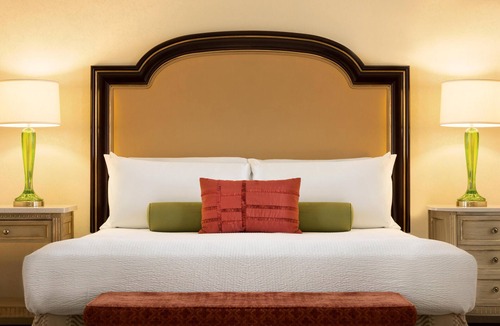 Downtown Wilmington Hotel | Accessible King Room with Roll-in Shower -Perfect Wilmington Location -Free Wifi