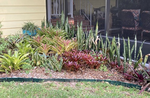 Mount Dora House | Adorable House In Mount Dora