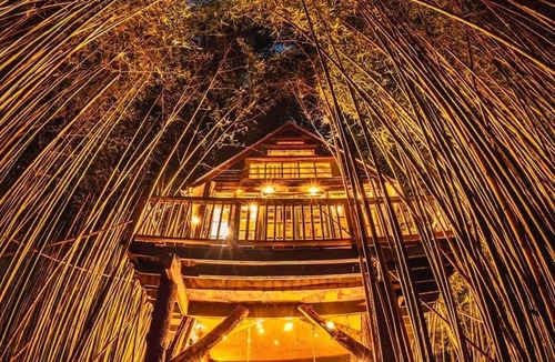 Atlanta House | Alpaca Treehouse in the Bamboo Forest