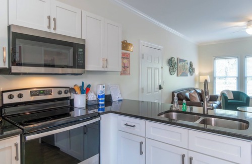 Helen Condo | Alpine River Suite #402| 1 BR| Downtown Helen| on River