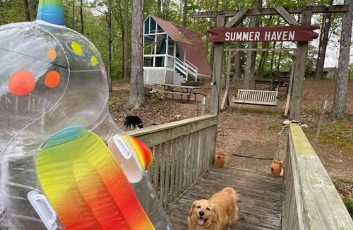Leesville Apartment | Amazing A-Frame on Lake Murray - Pets Welcome