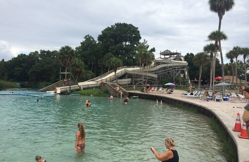 Weeki Wachee Gardens House | Amazing Home in Paradise!