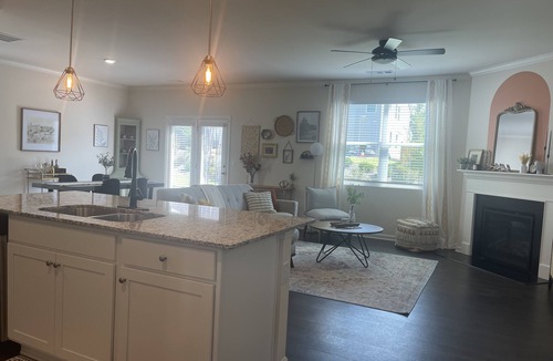 Flowery Branch House | Amazing very new home for monthly rent in historic, quant Flowery Branch, Ga.