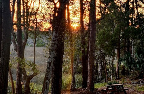 Yulee Cottage | Amelia Island on the Marsh 8 miles unobstructed views incredible sunrise,sunsets
