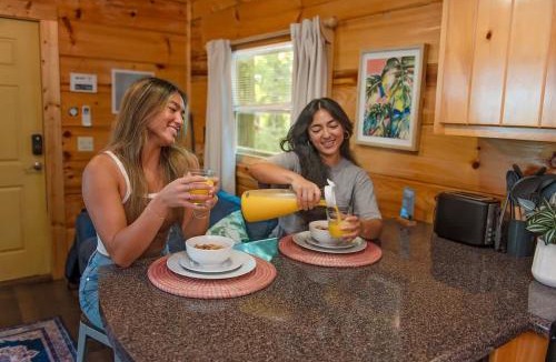 Lookout Valley Neighborhood Association House | Ani Cabin Tiny Home Bordered By National Forest