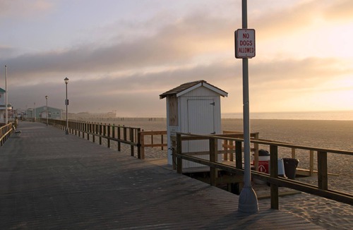Point Pleasant Beach House | ARN25L - 1st Floor 2BR 1 bath within a block to it all - Pets OK, 4 Tags by Shore Points Vacations
