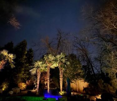 Morningside-Lenox Park Villa | Atlanta Pools and Palms Paradise