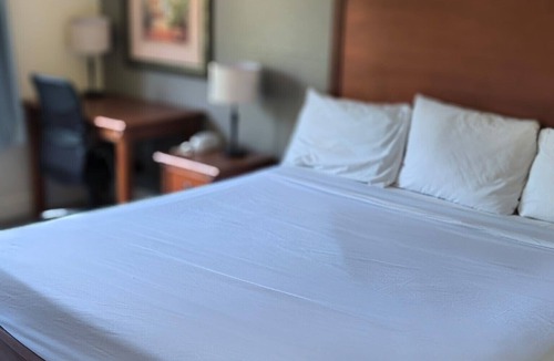 Gainesville Hotel | Baymont By Wyndham Gainesville I-75