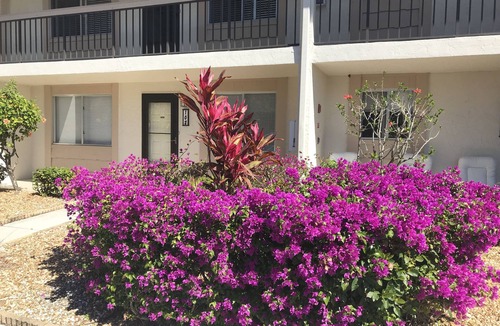Biggar Condo | Beach's, Golf, Dining and Shopping close by