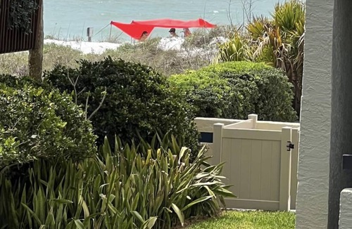 Indian Rocks Beach Condo | Beachside Dreams-Pet Friendly Condo 25yds from beach w heated pool, 2 parking sp