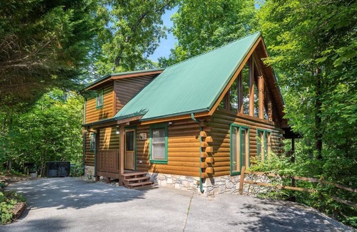 Black Bear Falls House | Bear Essentials