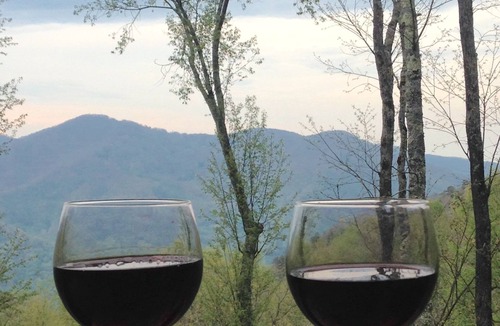 Maggie Valley House | Bear Necessities in Gated Smoky Mtn. Retreat Community