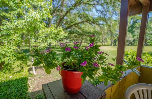 Brooksville House | Beautiful Home backs up to Hiking Preserve of Trails!