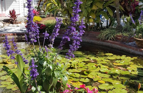 Dunedin Cottage | Beautiful luxury 2 bedroom private Cottage