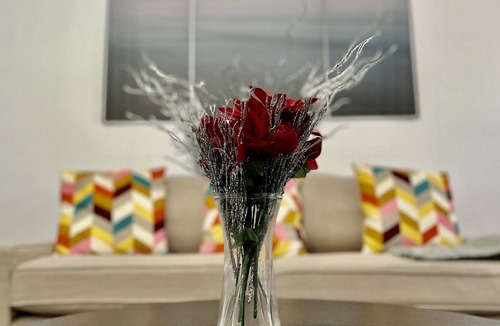 Southside House | Beautiful Luxury House Great Location Near Beaches Mayo Clinic Shops Restaurants