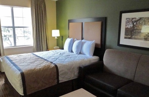 Tampa Apartment | Beautiful Studio apartment (424212) by Houzlet