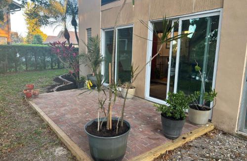 Palm River Estates Bed & Breakfast | Bed and Breakfast in North Naples