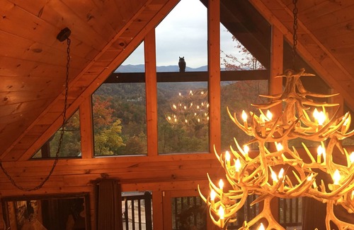 Black Bear Falls Cabin | Best Mt Views! 3 K Suites on 3 Levels! HOT TUB, ARCADE, BILLIARDS! Open 8/8-8.15
