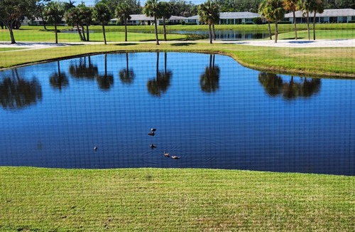 Braden River Condo | Best view in PalmAire, Sarasota. Near all beaches, shopping, golf and downtown