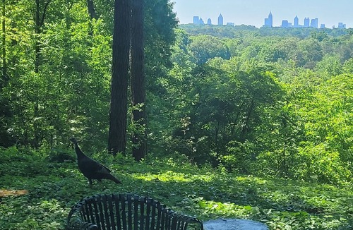 Mount Paran - Northside House | Best view of Atlanta on Wooded Ridge
