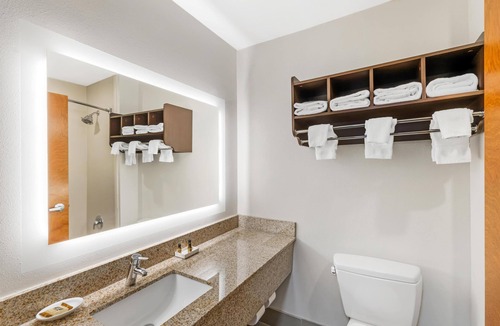 McDonough Hotel | Best Western Plus McDonough Inn & Suites