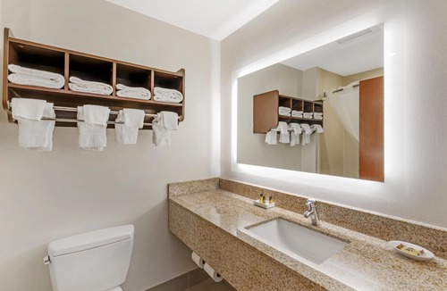 McDonough Hotel | Best Western Plus McDonough Inn & Suites