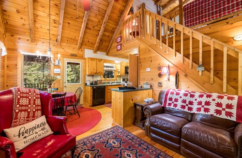 Clarkesville Cabin | Black Bear Bungalow - 10% OFF or 4th Night Free - Ask for details!